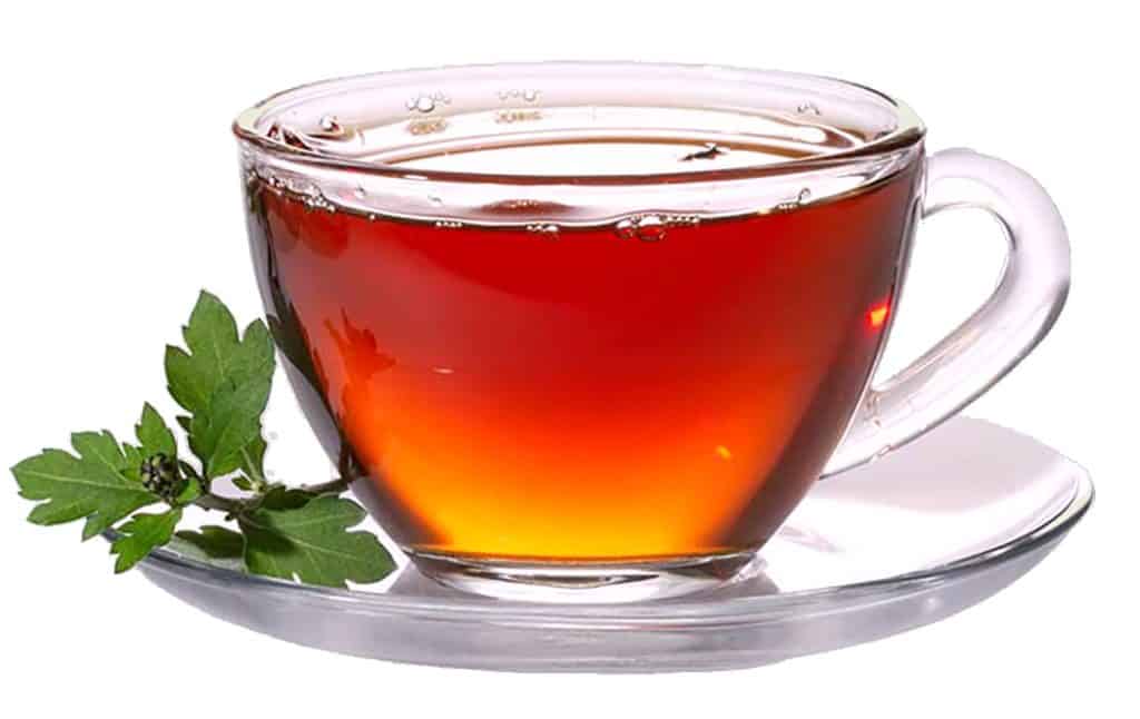 Sassafras Tea: Health Benefits and Side Effects