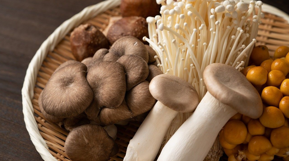Comprehensive Guide on the Benefits of Lion's Mane Functional Mushrooms